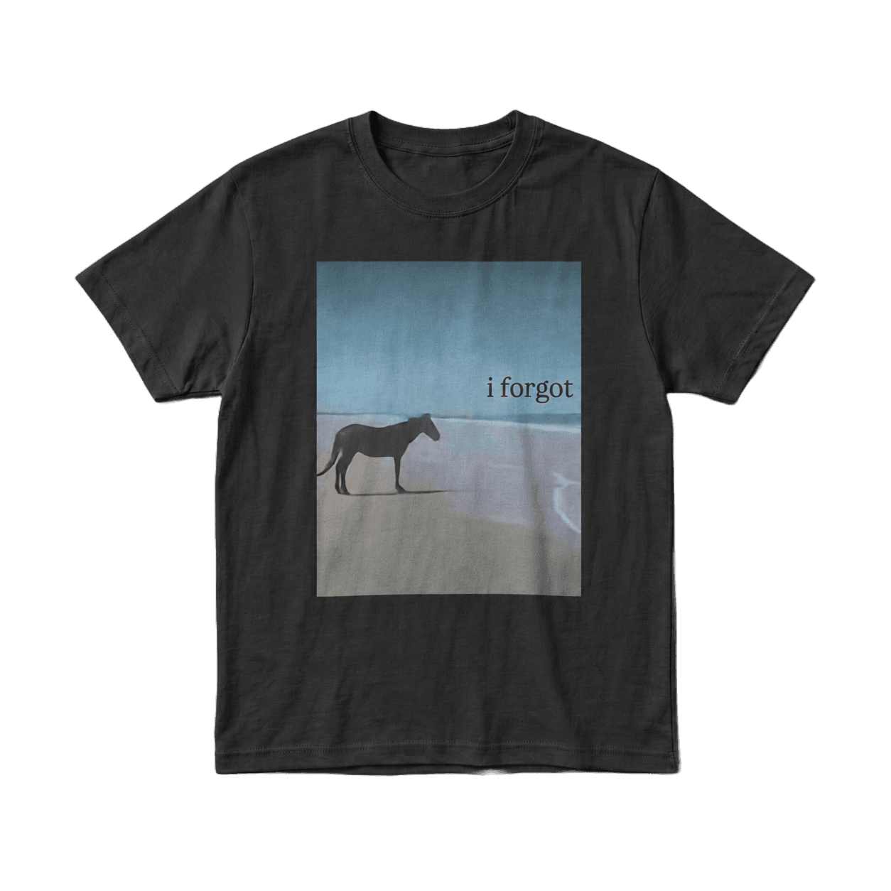 "I Forgot" Horse on Beach Graphic Tee